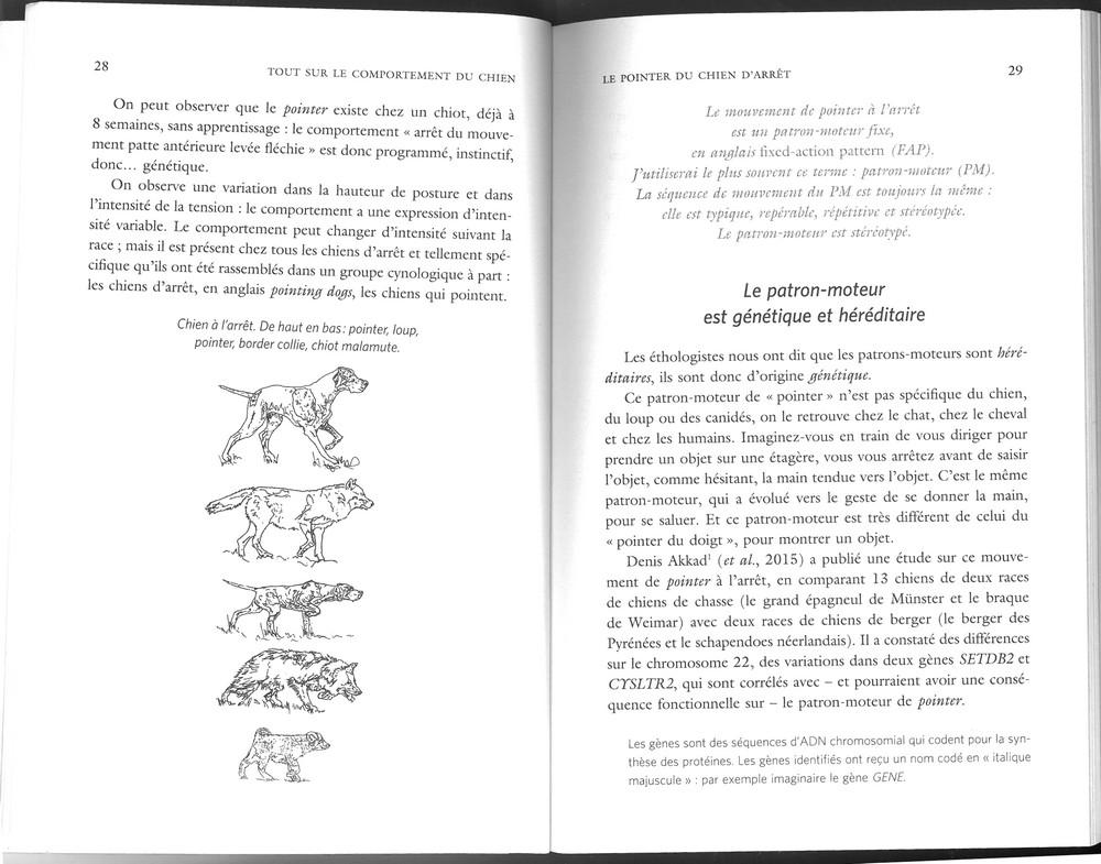 Dehasse pointer