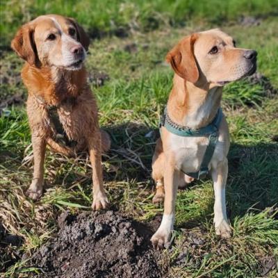 Lara et kiki
