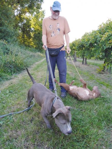 Nala se roule herbe